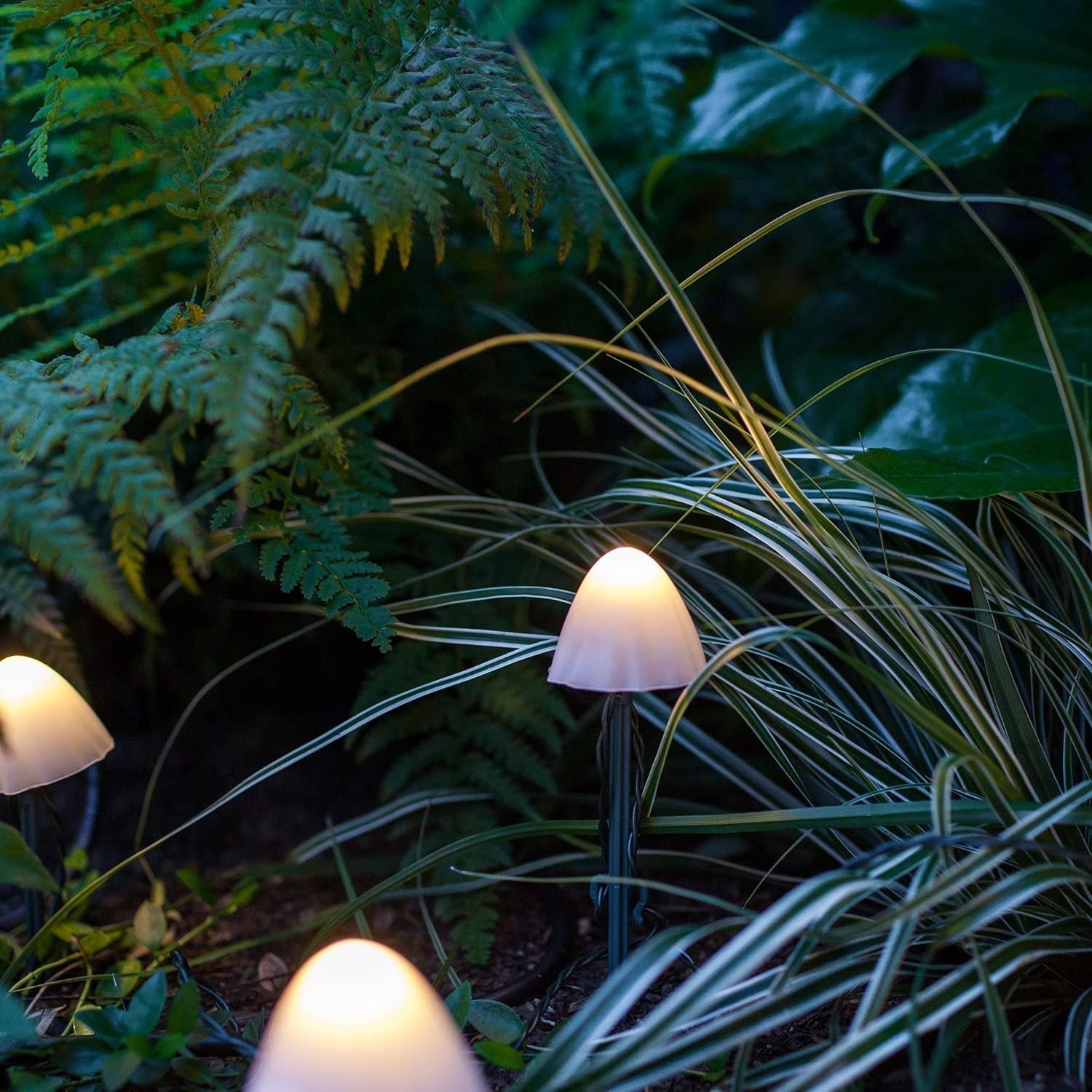 Enchante Hage Sopp - Solenergi Drevet-Garden Decor-Norskova-Sett med 20 Solar Stick Lights Mushrooms-Norskova