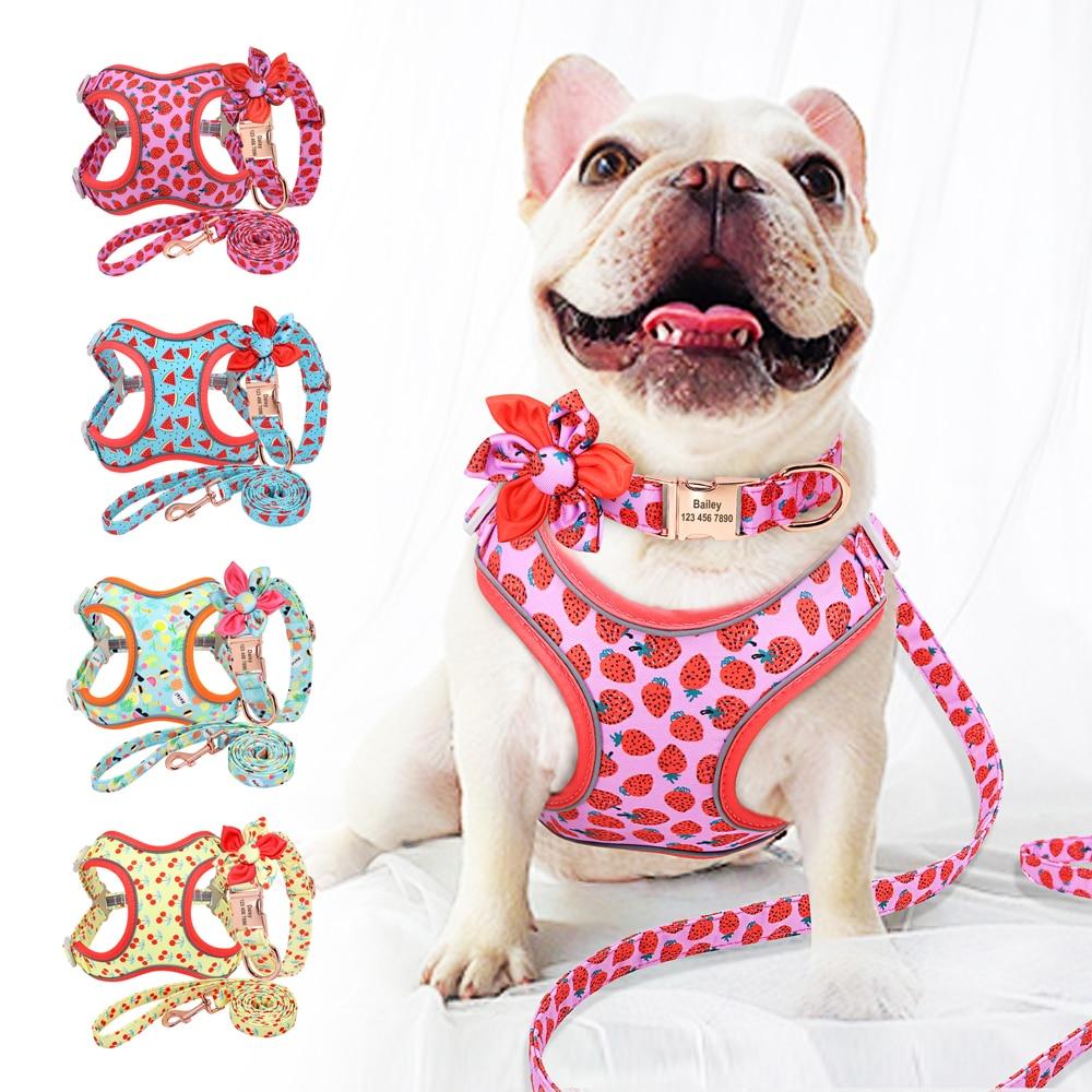 Fruity Custom Printed Dog Collar Leash Set-Norskova-Strawberry-S-Norskova