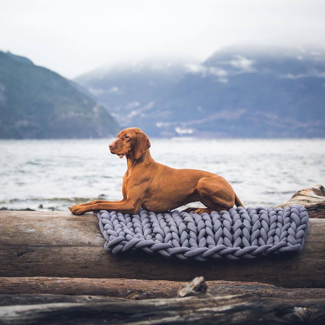 Paw Pads Vaskbar Handwoven Pet Nest-Dog Beds-Norskova-Lysegrå-35cm-Norskova